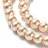Eco-Friendly Dyed Glass Pearl Round Beads Strands HY-A002-6mm-RB061-3