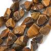 Raw Rough Natural Tiger Eye Beads Strands G-M453-D10-2
