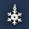 925 Sterling Silver Pendants FIND-Z069-04S-B-2
