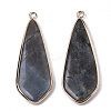Natural Labradorite Pendants X-G-S359-108A-2
