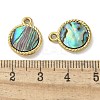 304 Stainless Steel Natural Paua Shell Pendants STAS-U037-12G-01-3