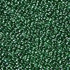 Glass Seed Beads SEED-A006-2mm-107B-2