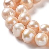 Natural Cultured Freshwater Pearl Beads Strands PEAR-E019-17-3