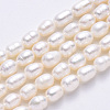 Natural Cultured Freshwater Pearl Beads Strands X-PEAR-N012-06D-2