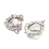 Platinum Alloy Glass Pendants FIND-Z068-03P-2