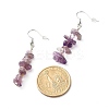 Natural Amethyst Chip Beads Dangle Earrings EJEW-JE04649-05-3