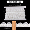 2.7~3 Yards Polyester Lace Trim SRIB-GF0001-30-2