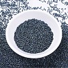 MIYUKI Delica Beads SEED-X0054-DB0325-2