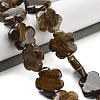 Natural Tiger Eye Beads Strands G-F769-H01-02-2