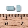 2-Hole Baking Paint Glass Seed Beads SEED-S023-17B-43-3