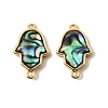 Natural Paua Shell Hamsa Hand Connector Charms KK-G538-44G-1