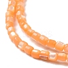 Natural Trochus Shell Beads Strands SSHEL-H070-02D-4