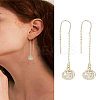 1 Pair Round Zinc Alloy Cat Eye Ear Thread EJEW-LP0009-10-1