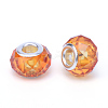 Handmade Glass European Beads LS-X-GPDL25Y-44-2