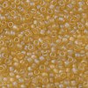 TOHO 8/0 Round Beads SEED-XTR08-0162F-2
