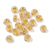 Luminous Transparent Acrylic Beads OACR-P037-01B-T-2