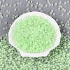 FGB Grade A Transparent Glass Seed Beads SEED-Q040-03A-03-3