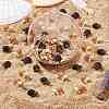 50Pcs 2 Colors Miniature Resin Mini Tortoise Display Decorations AJEW-CP0005-47-4
