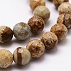 Natural Picture Jasper Beads Strands G-G736-27-10mm-3