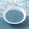 MIYUKI Round Rocailles Beads X-SEED-G007-RR0279-3