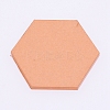 Acrylic Transparent Pressure Plate TACR-WH0004-07-1