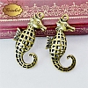 Tibetan Style Zinc Alloy Pendants TIBEP-WH0003-43AB-03-1