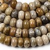 Natural Fossil Coral Beads Strands G-A280-A08-03-4