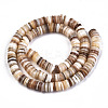 Natural Freshwater Shell Beads Strands SHEL-N003A-02-1