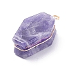 Natural Gemstone Pendants PALLOY-JF01403-4
