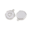 304 Stainless Steel Pendants STAS-B108-01P-01-2