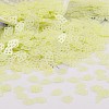 Plastic Sequins Beads PVC-R024-05B-3