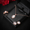 Oval Alloy & Acrylic Imitation Moonstone Pendant Necklaces & Stud Earrings & Rings Sets FS-WG10CC3-01-1-1