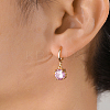 Elegant French Style Brass Pave Clear Cubic Zirconia Flat Round Hoop Earrings KO2254-1-1