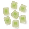 Frosted Acrylic European Beads OACR-G012-14G-1
