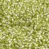 Glass Seed Beads SEED-S042-04B-24-3
