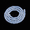 Glass Beads Strands EGLA-A044-J4mm-D06-3