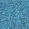 MIYUKI Round Rocailles Beads X-SEED-G007-RR2429-3