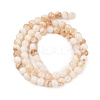 Natural Freshwater Shell Beads Strands SHEL-T011-02-6mm-2