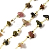 Handmade Natural Multicolor Tourmaline Chip Beaded Chains CHC-F020-10G-02-1
