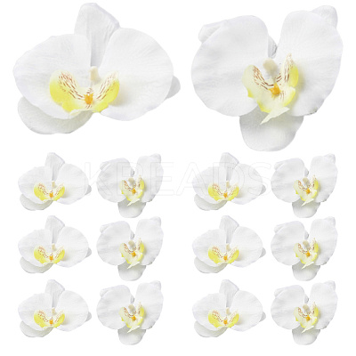 Cloth Imitation Phalaenopsis Amabilis DIY-WH20002-197-1