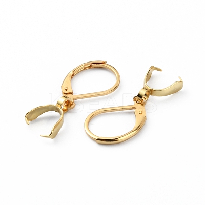 304 Stainless Steel Leverback Earring Findings FIND-WH0110-052G-1