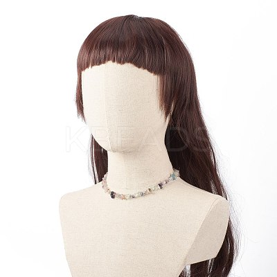 Natural Fluorite Chip Beaded Necklace NJEW-JN03824-02-1