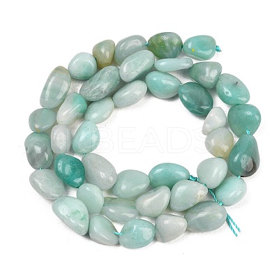 Natural Amazonite Nuggets Beads Strands X-G-J335-31A-1
