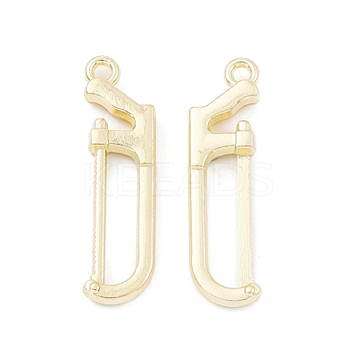 Alloy Pendants PALLOY-K003-20LG-1