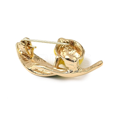 Golden Alloy Enamel Brooch JEWB-K018-32H-G-1