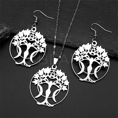 304 Stainless Steel Dangle Earrings & Pendant Necklaces Sets FS-WGEFFE7-01-1