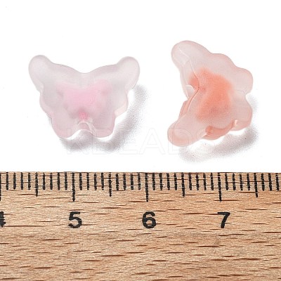 Frosted Transparent Acrylic Beads OACR-A032-23-1