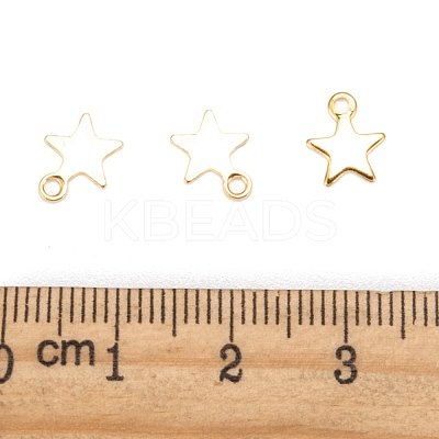 304 Stainless Steel Charms STAS-F159-43G-1