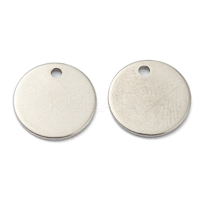 Tarnish Resistant 304 Stainless Steel Charms STAS-H157-05P-1
