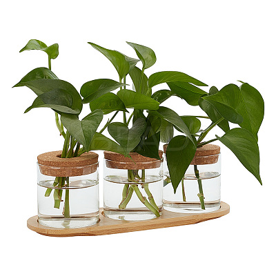 Column Glass Hydroponics Plants Pot Flower Bottle Tube Vase Set AJEW-WH0541-11A-1